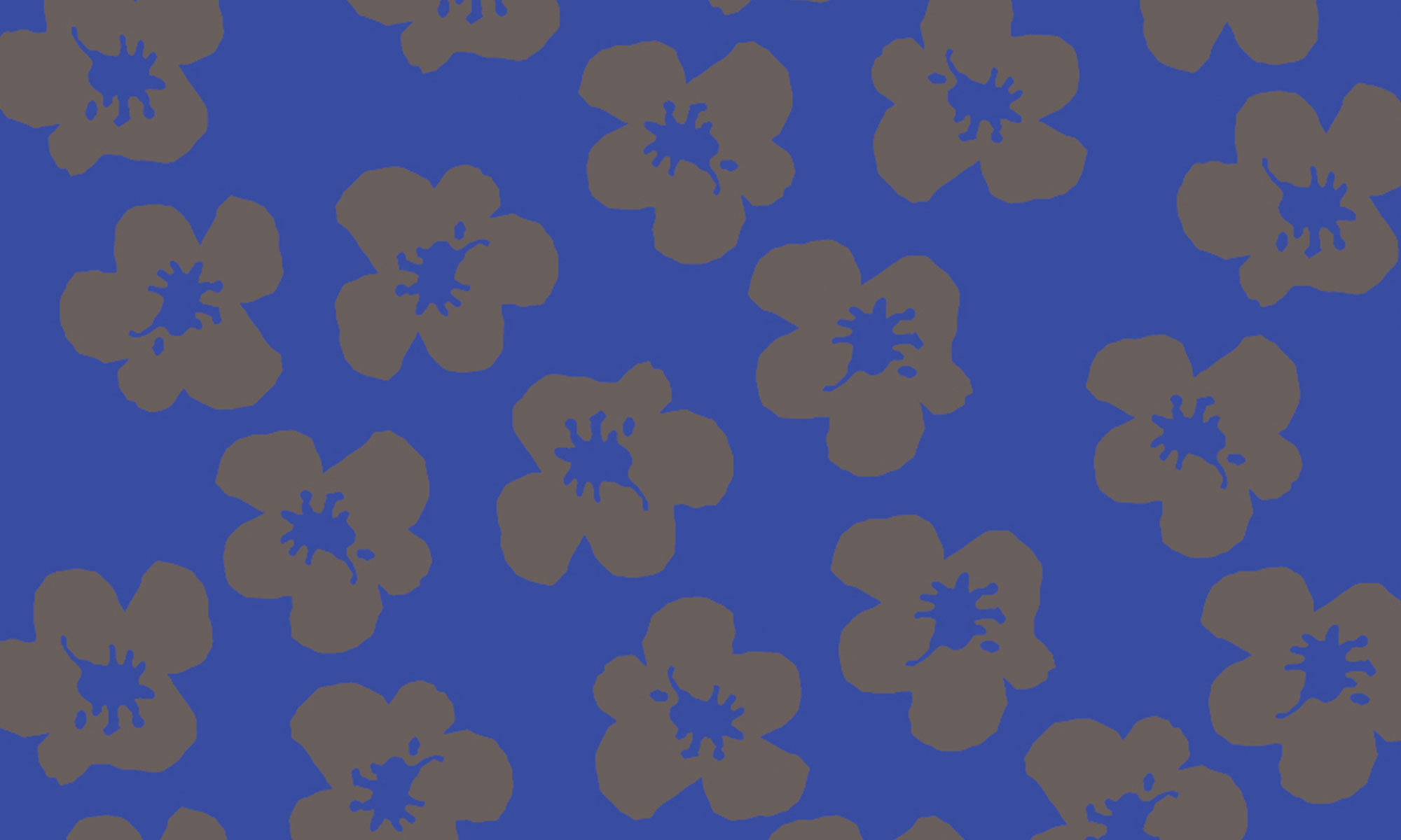 img-sito_digital-circus-navone_1