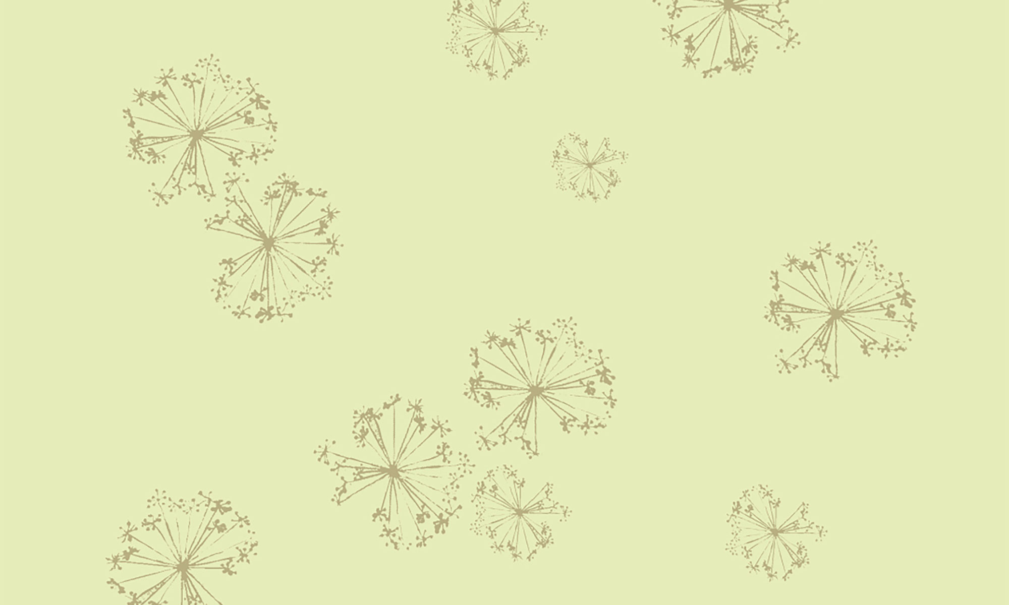 img-sito_digital-circus-navone_4